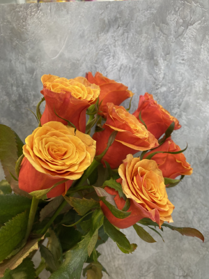 Роза Испания - вид 3 миниатюра