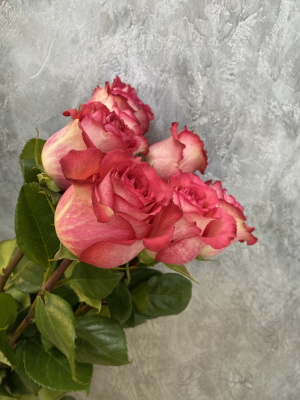 Букет из роз Игуазу
