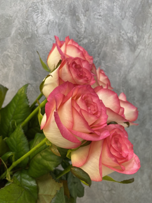 Букет из роз Джумилия